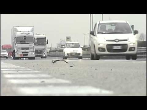 Audi i verdhë, një nga të dyshuarit në polici: Nuk kemi lidhje! - Top Channel Albania - News - Lajme