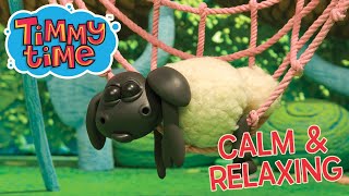 Timmy’s Calm Adventures 🌙 | Relax and Play with Friends