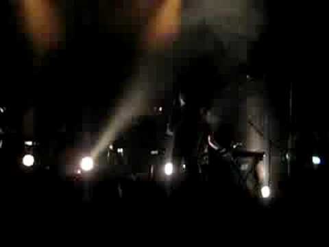 Goose- British Mode At Omas Teich'08