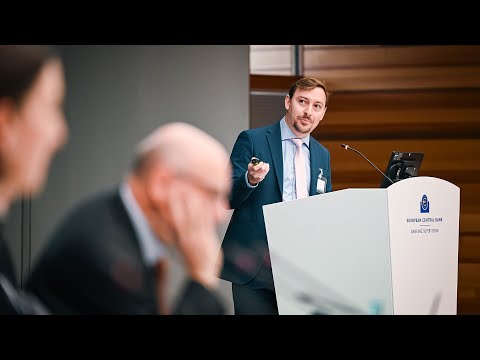 2024 ECB Annual Banking Supervision Research Conference Session 4  - Paper 11