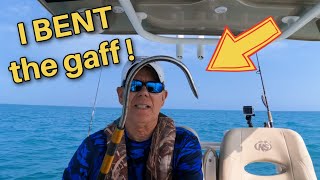 Solo Fishing the Florida Keys Patch Reefs: Catching the BIGGEST "Rock Fish" You've Ever Seen!