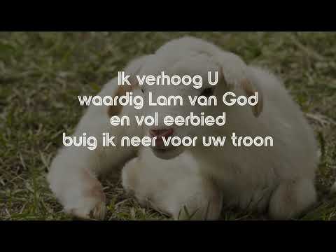 Opwekking met tekst 393 Lam van God, Heilige