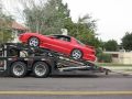 Death of a Trans Am Part 2: The Birth of the Red Ape