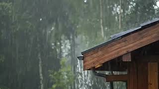 Som de Chuva no Telhado da Cabana – 10 Horas para Dormir e Relaxar 🌧️ Sons da Natureza