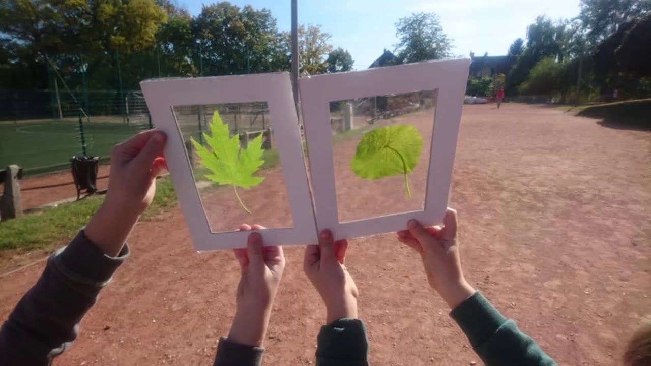 A természet nemcsak jobban tudja, de szép is. 2019.10.