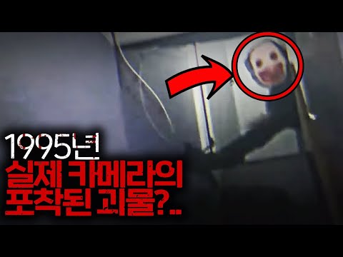 1995년 실제 카메라의 촬영 된 괴생물체 영상 *잔인함 주의*