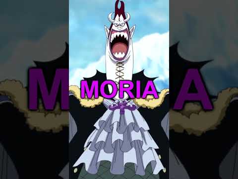 ALLE 11 SAMURAI DER MEERE IN ONE PIECE ERKLÄRT🔥 | ONE PIECE FAKTEN