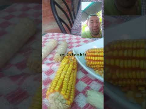 Desgranando maíz como antes | La Palma, Cundinamarca – Vereda El Cuaque