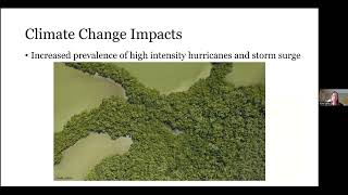 NWSI 2023 Working with the Resist-Accept-Direct Model