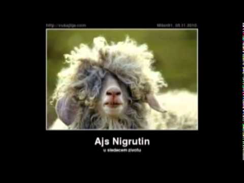 Ajs Nigrutin na Radio S-u