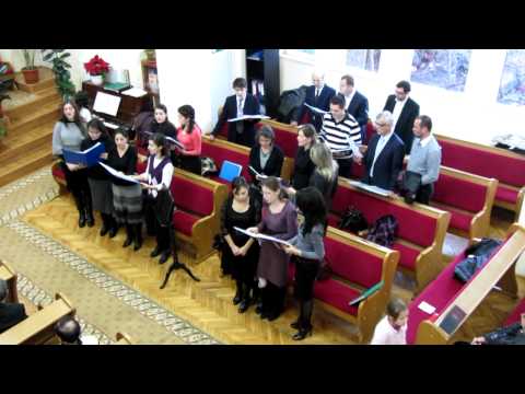 Corul Dumbrava Rosie - Vedeti ce dragoste minunata