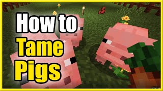 How to TAME a PIG in Minecraft & Ride them! (Fast Method!)
