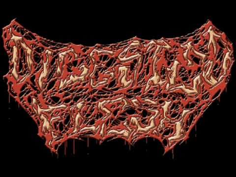 Digested Flesh - Of Blood Bone and Carnage