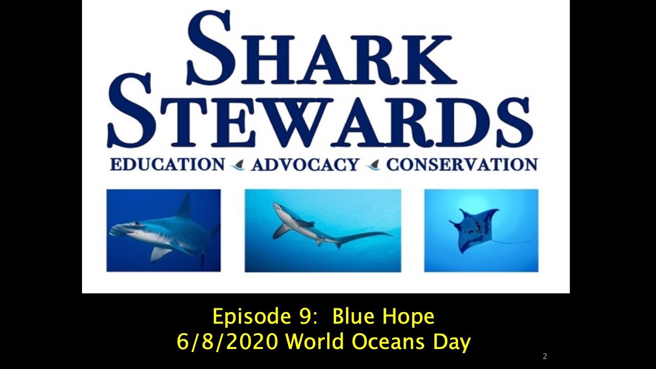 Ocean Action Episode 9 World Oceans Day, Hope for Sharks