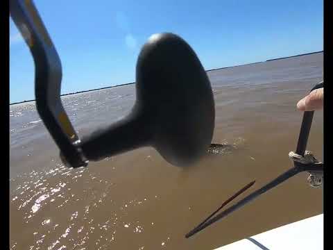 GIANT FRESHWATER STINGRAY FISHING - PESCA DE RAYA GIGANTE - ARGENTINA