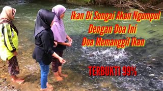 Download lagu Doa Untuk Memanggil Ikan Saat Mancing|| 99% Berhasil mp3 Download lagu Doa Untuk Memanggil Ikan Saat Mancing|| 99% Berhasil mp3