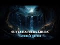 Sunta Hai Mera Khuda Slowed Reverb Pukar