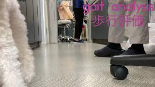 ３週間。