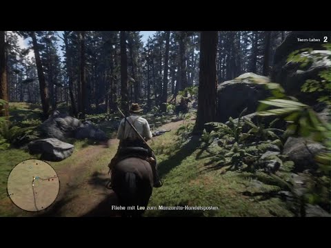 RDR2 - Crash Nr. 07