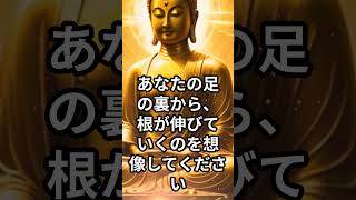 【27】  仏陀直伝。周囲に流されないための安定法3 #マインドフルネス #瞑想 #リラックス #shorts