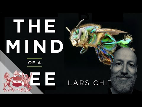 The Mind of a Bee | Lars Chittka