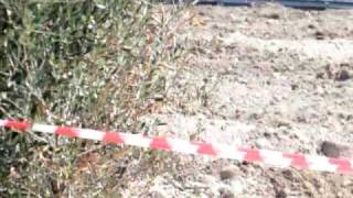 TRANI - VASTA DISCARICA DI LETAME NEI PRESSI DI VIA ANDRIA - FOLGORE Trani