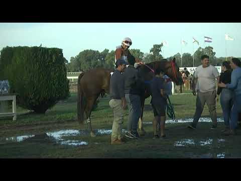 SINT PAYSANDU - 230525 c08 1° SUB BRINA - CLÁSICO ESPECIAL JORGE FIRPO