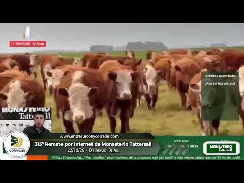 22-10-26 - 315º Remate por Internet de Monasterio Tattersall - Daireaux, Bs.As.