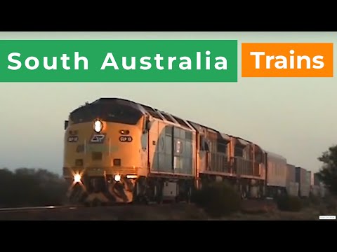 Bulldogs in the desert | Trans Australian railway | West to Coondambo in 2010