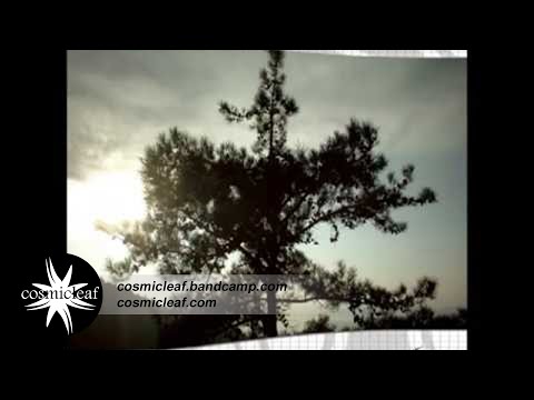 Side Liner - Far East (Chill Out)