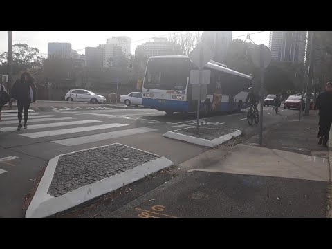 State Transit 3836 Scania L113CRLW Ansair Orana on 683W school run