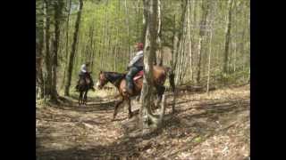 preview picture of video '5 2012 Slide Ralph Steve at Adventure Horse Riding in NYS by Mary Dixon Smilla13.wmv'