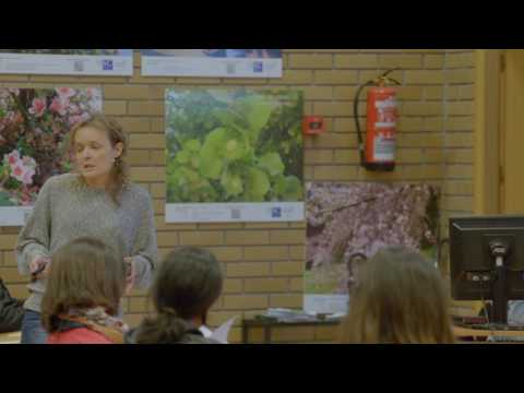 Vídeo: Helicatos funcionais