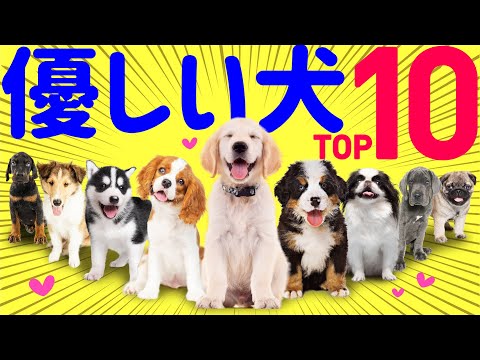 黒と白の犬の品種