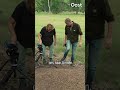 Mierenhopen worden steeds zeldzamer | RTV Oost