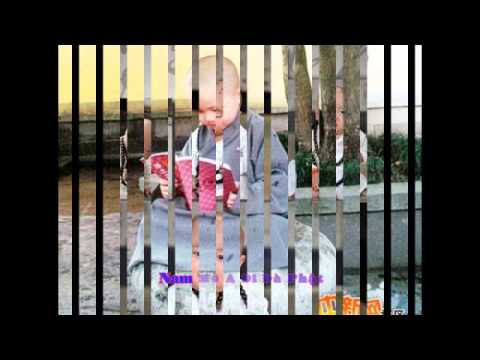 Chú tiểu ngây thơ - Nghi Tâm