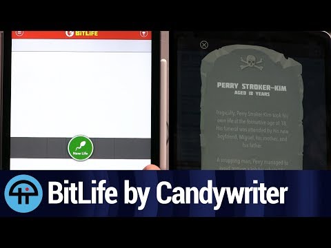 BitLife Life Simulator Review - YouTube