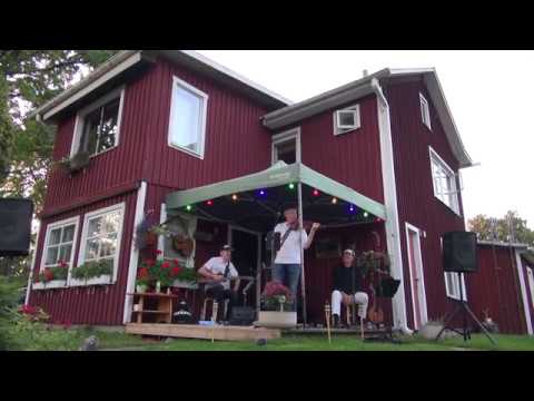 TÕNU RAADIK (soolo viiul) - Vana koer