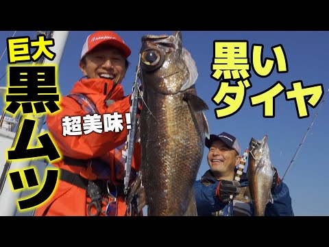 黒いダイヤ『クロムツ』が大爆釣！！｜中深海スロージギング@和歌山・白浜沖