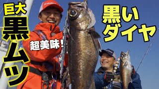 黒いダイヤ『クロムツ』が大爆釣！！｜中深海スロージギング@和歌山・白浜沖