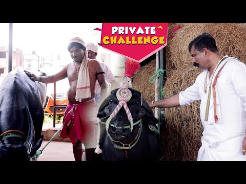 Private Challenge S2│EP-35: Aravind Bolar as Kambala Racer │ Nandalike Vs Bolar 2.0