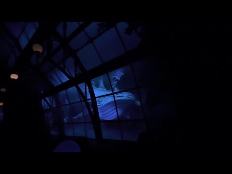 Symbolica Dark Ride POV - Efteling