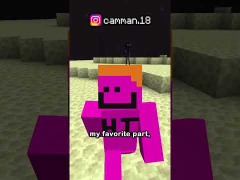 THE NEW MINECRAFT WORLD RECORD