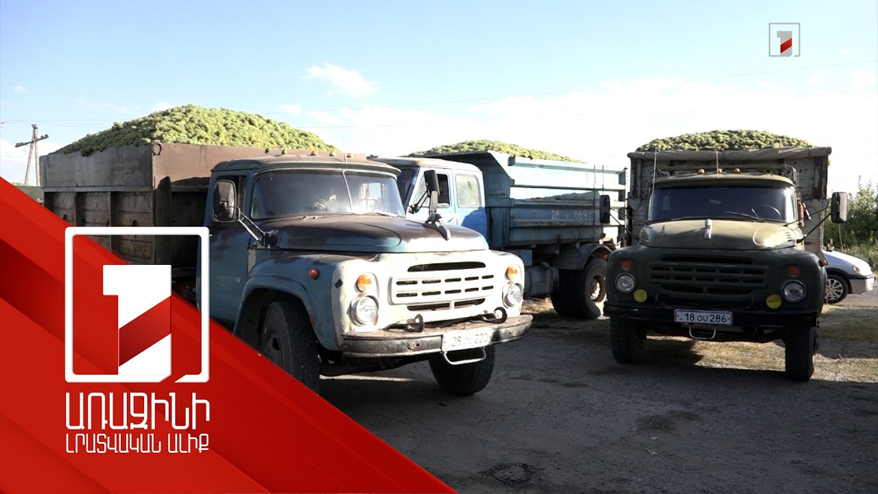 Երևանի «Արարատ» կոնյակի-գինու-օղու կոմբինատը խաղողի մթերումը մեկնարկել է Նոր Ամասիայից՝ 150 դրամով