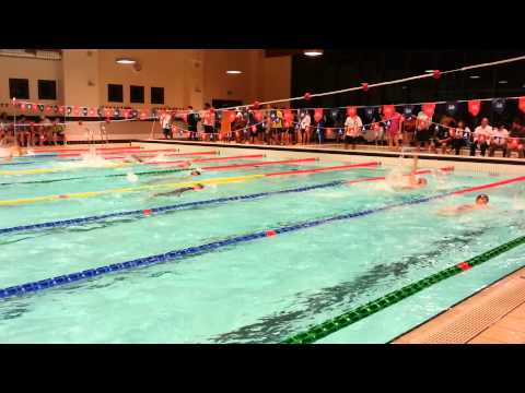 Vimercate - 22/11/2014 - DDS - 50DO Raoul (2) - Lorena (6) - Camilla (7)