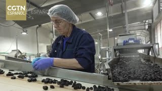 Empresas serbias de alimentos apuestan por el mercado chino para seguir creciendo