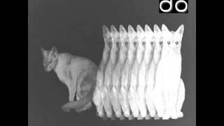 Deckchairs Overboard - Legion