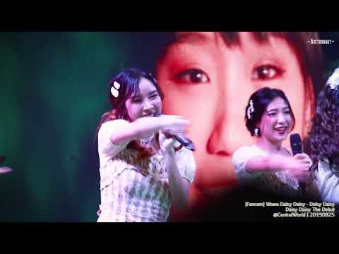 [Fancam] WAWA DAISY DAISY - Daisy Daisy @ Daisy Daisy The Debut