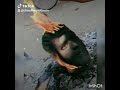 Bengan Sapna Chaudhary Haryanvi Song Staus