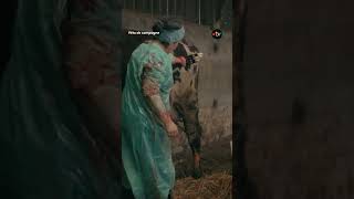 Cette vétérinaire pratique une césarienne en urgence sur une vache